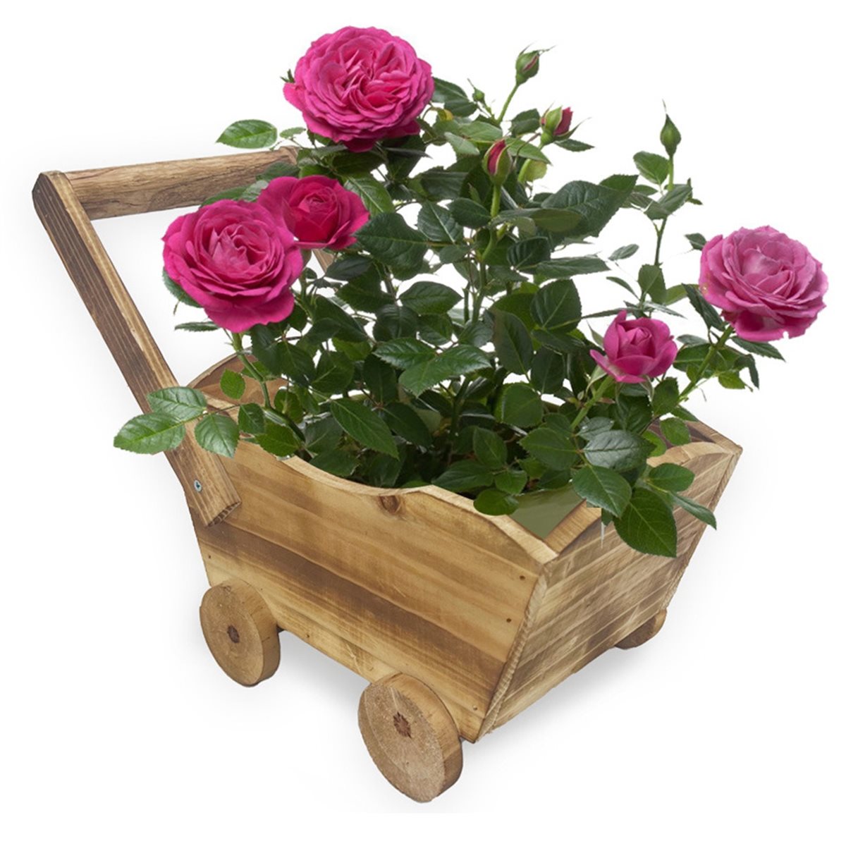 2026 Trend Cartoon Car Flower  - Home Decor Trend 2026 review and price