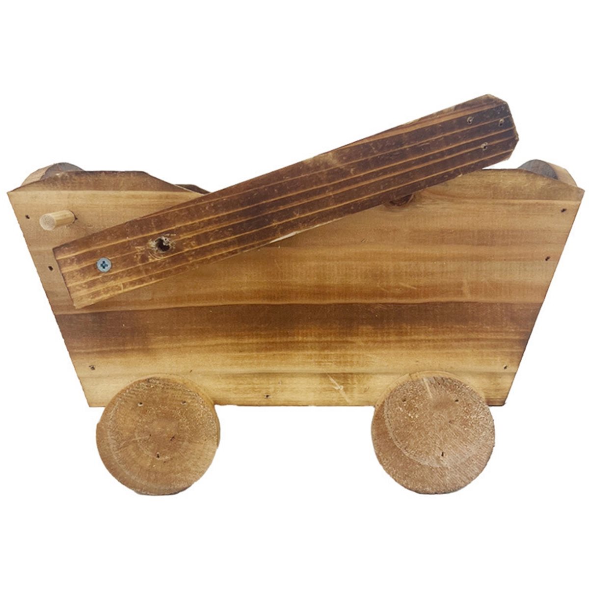 2026 Trend Cartoon Car Flower  - Home Decor Trend 2026 review and price