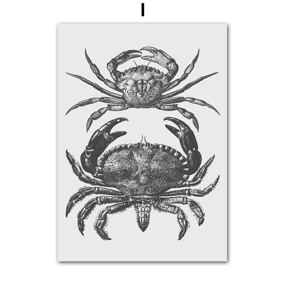 2026 Black Series Marine Biolo - Home Decor Trend 2026 review and price