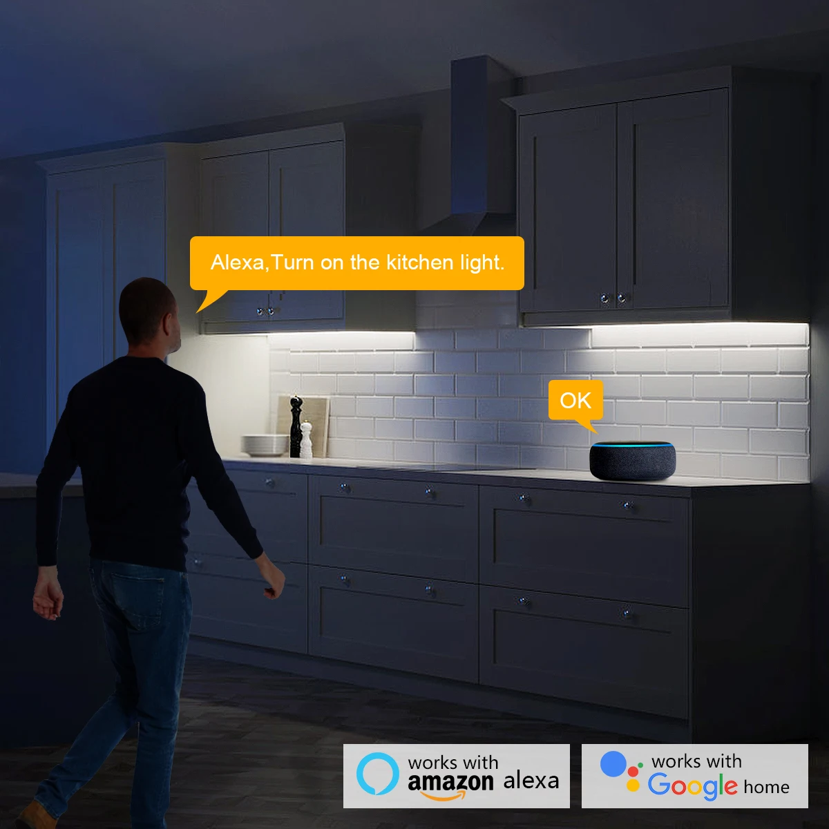 Smart Home Zigbee Tuya Voice C - Home Decor Free App review and price
