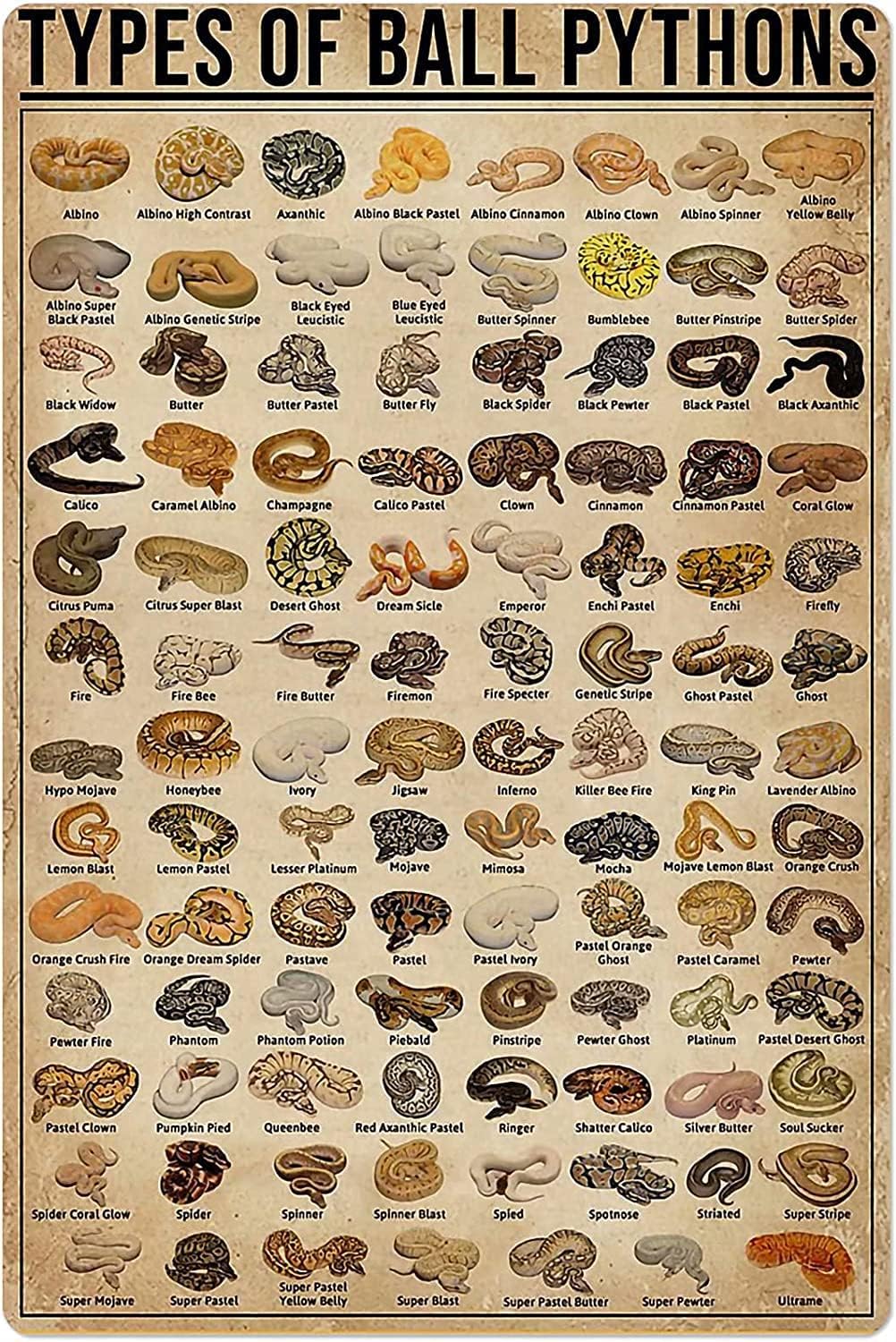 Retro Metal Tin Sign Types of  - Home Decor Shop review and price