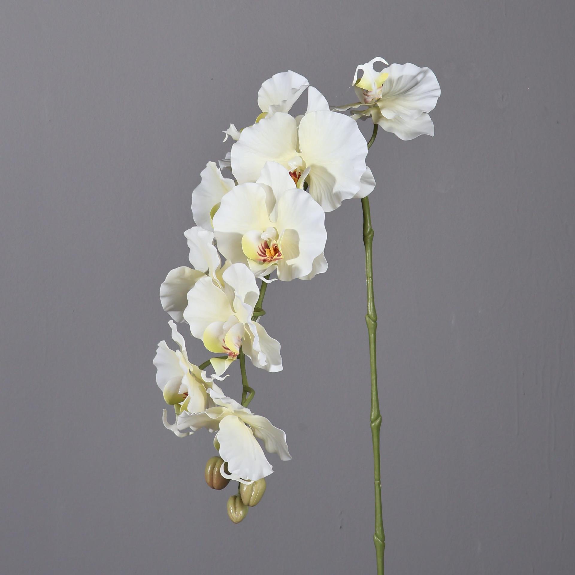 38.6 Inch 9 Heads Korean Style - Home Decor Korea review and price