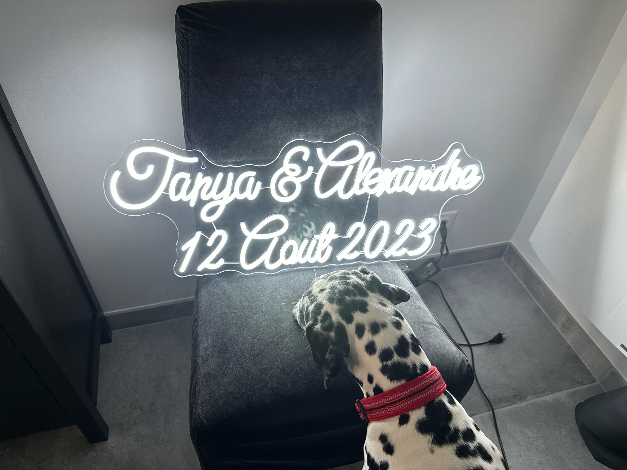 Custom Neon Sign LED Neon Ligh - Home Decor Logo Design review and price