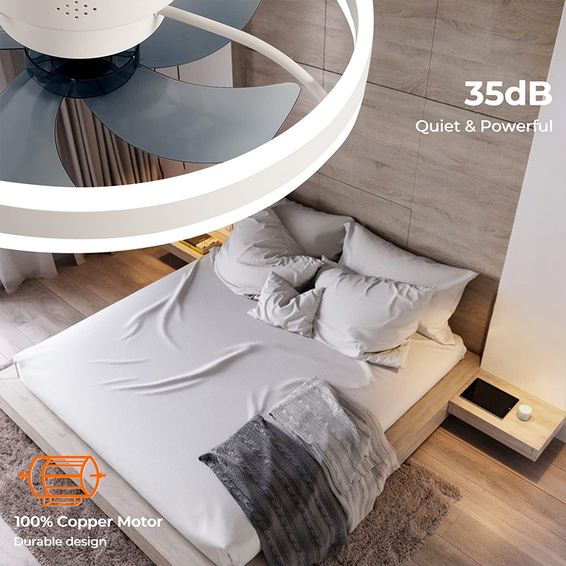 LED Ceiling Light Fan With APP - Home Decor Free App review and price