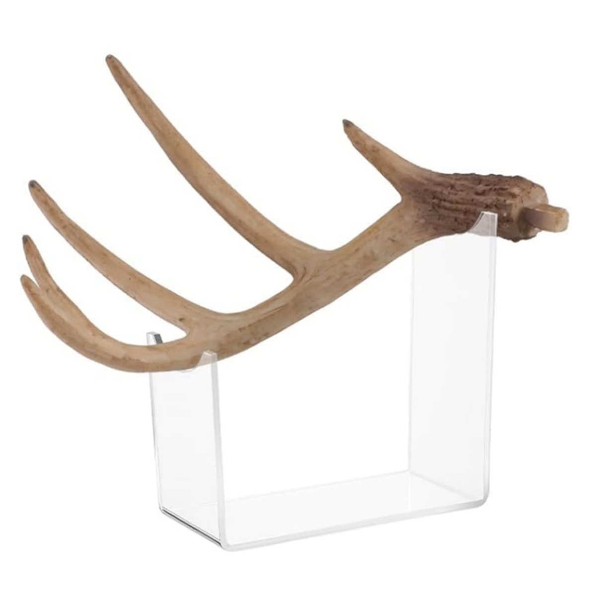 2026 Trend Horn Mount, Four Pi - Home Decor Trend 2026 review and price
